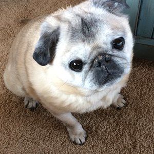 Meet your Posher, 7ett